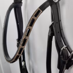 Svart träns Claridge House FULL