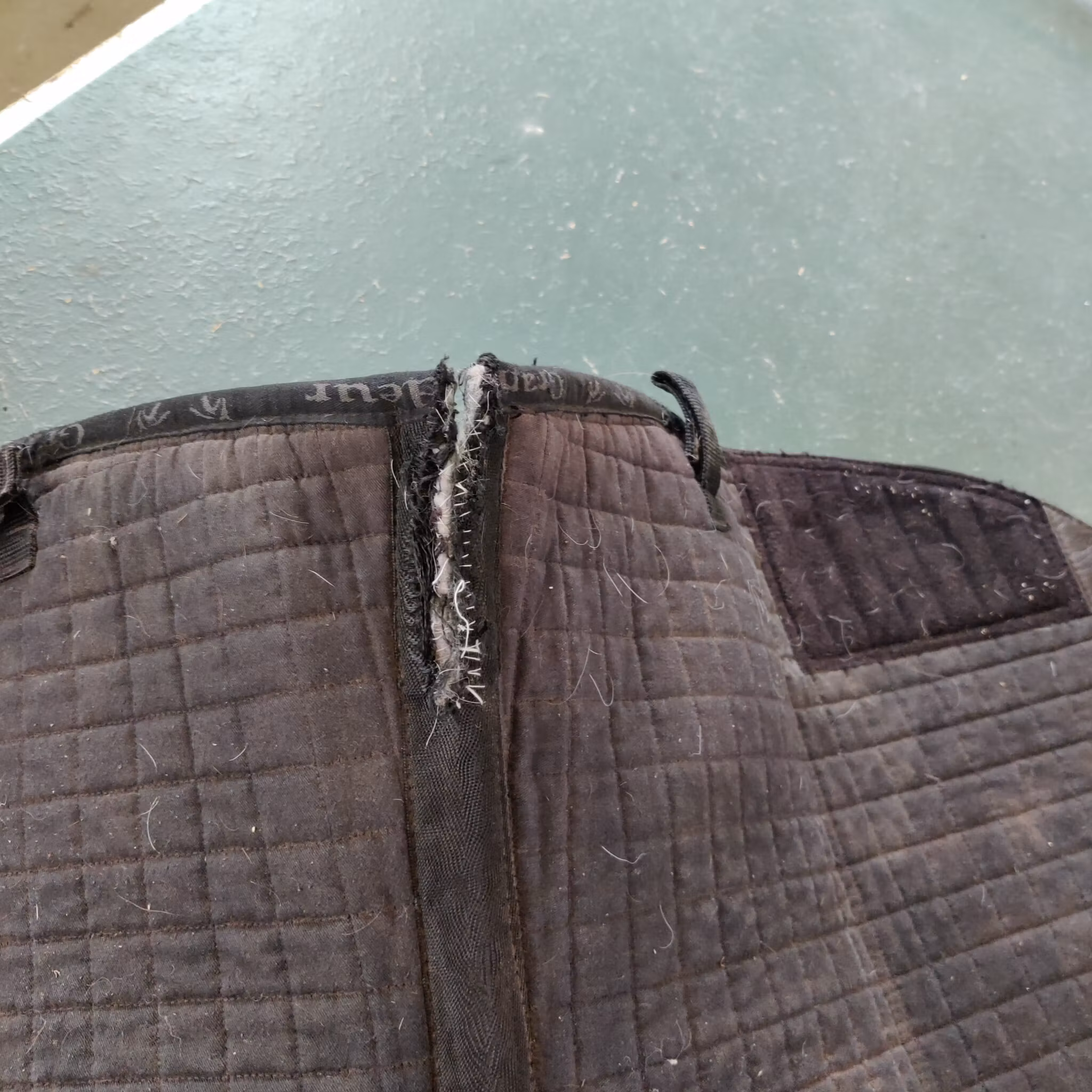 Padd till bomlös sadel Barefoot Grandeur FULL