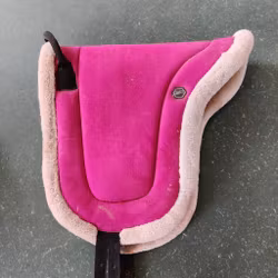 Rosa barbackapadd QHP PONNY