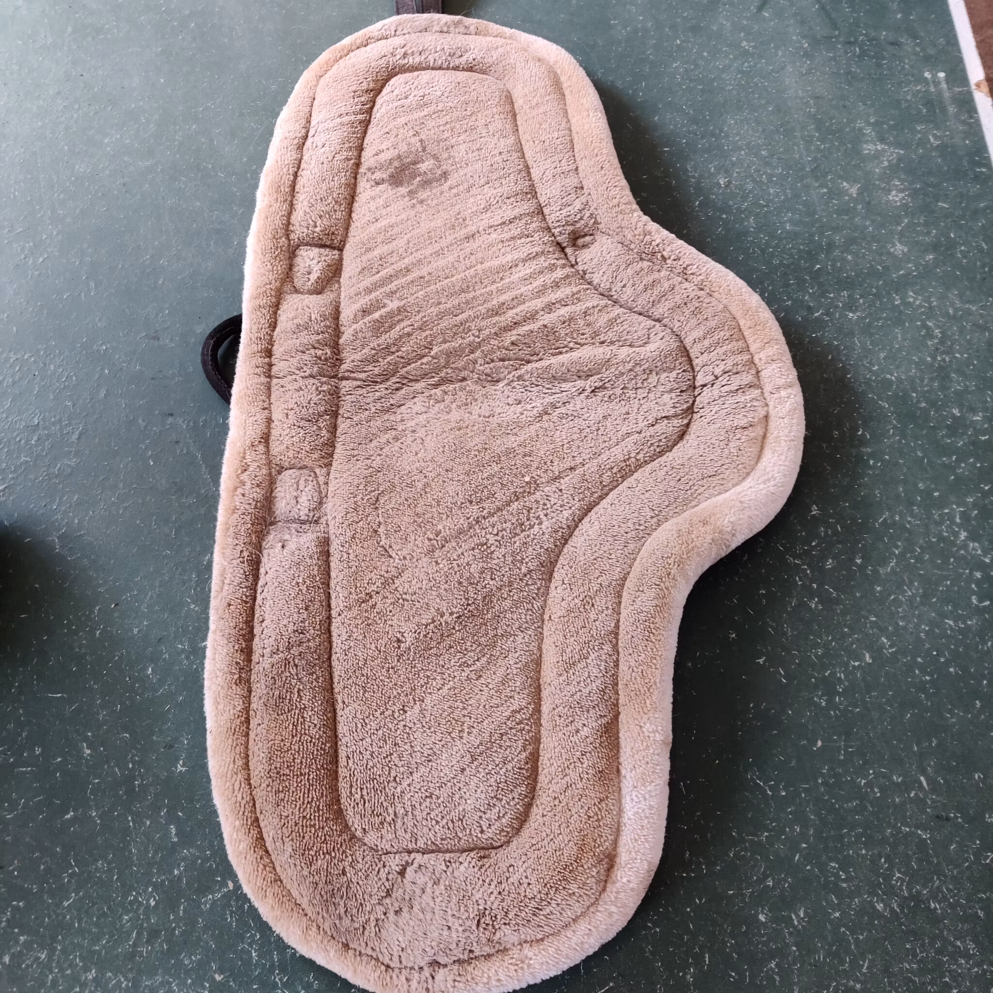 Rosa barbackapadd QHP PONNY