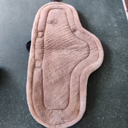 Rosa barbackapadd QHP PONNY