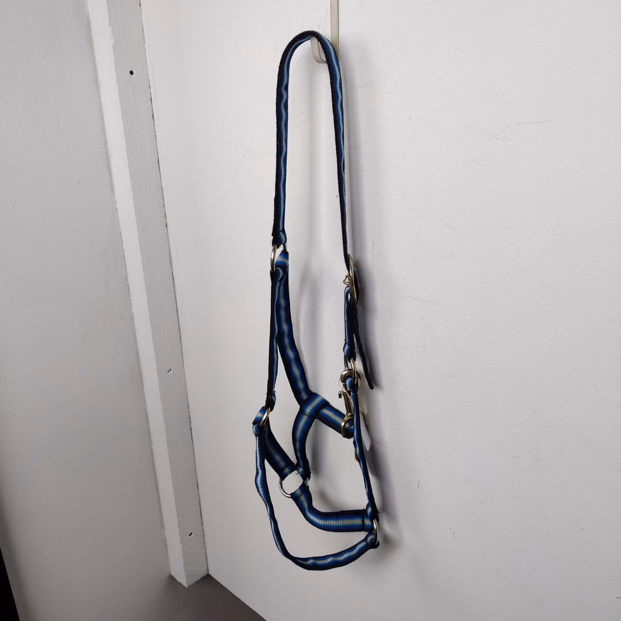 Blårandig grimma Globus FULL