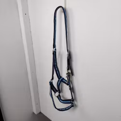 Blårandig grimma Globus FULL