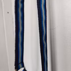 Blårandig grimma Globus FULL