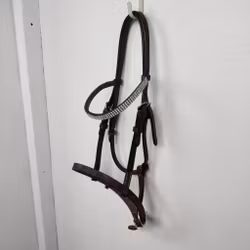 Brun visningsgrimma föl (full)