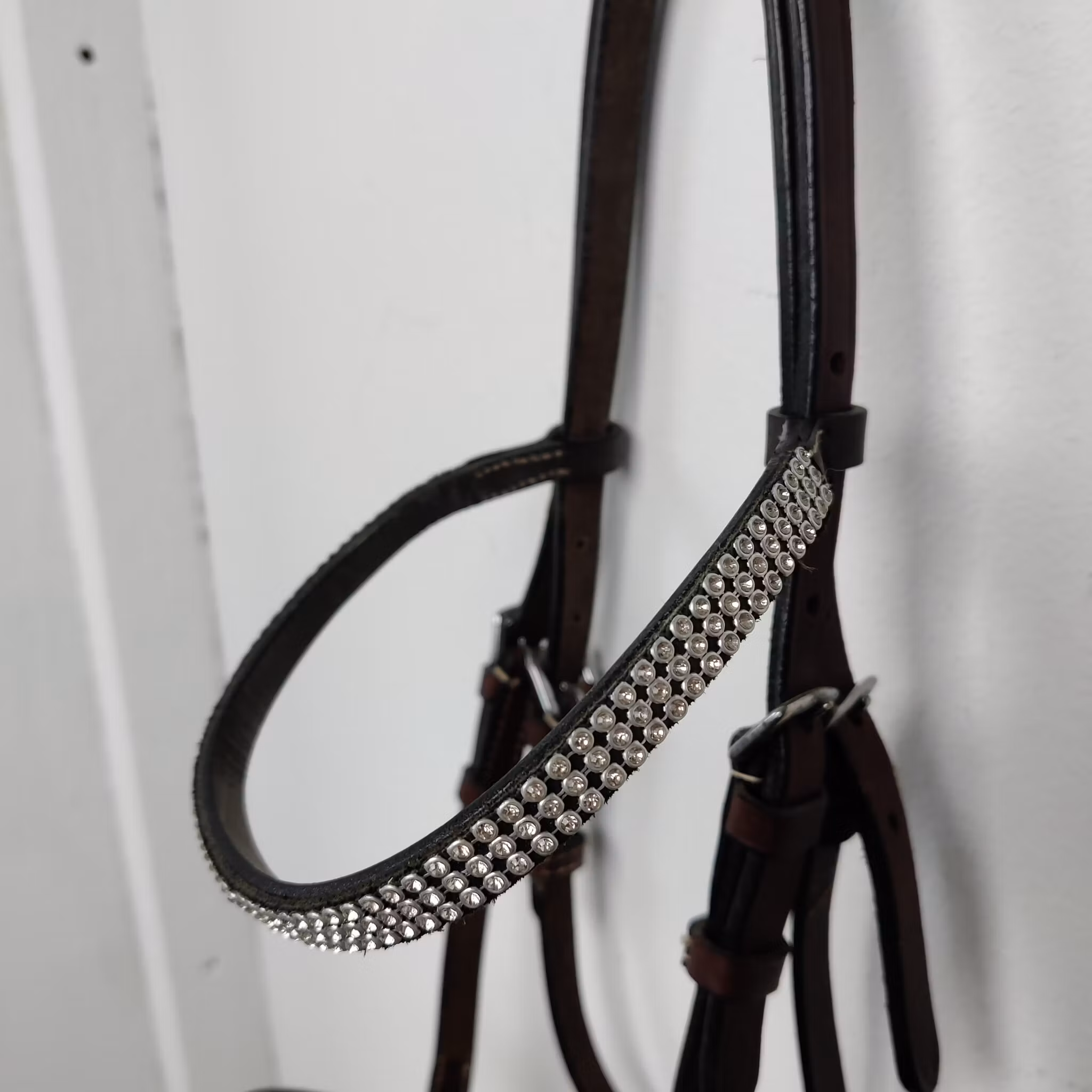 Brun visningsgrimma föl (full)