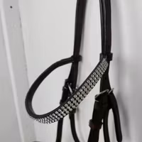 Brun visningsgrimma föl (full)