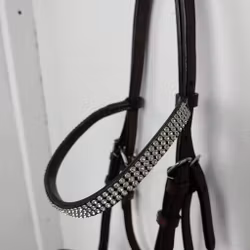 Brun visningsgrimma föl (full)