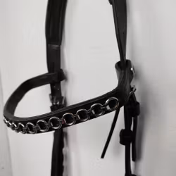 Svart huvudlag PONNY