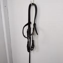 Svart huvudlag SHETLAND