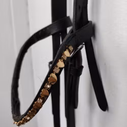 Svart huvudlag SHETLAND