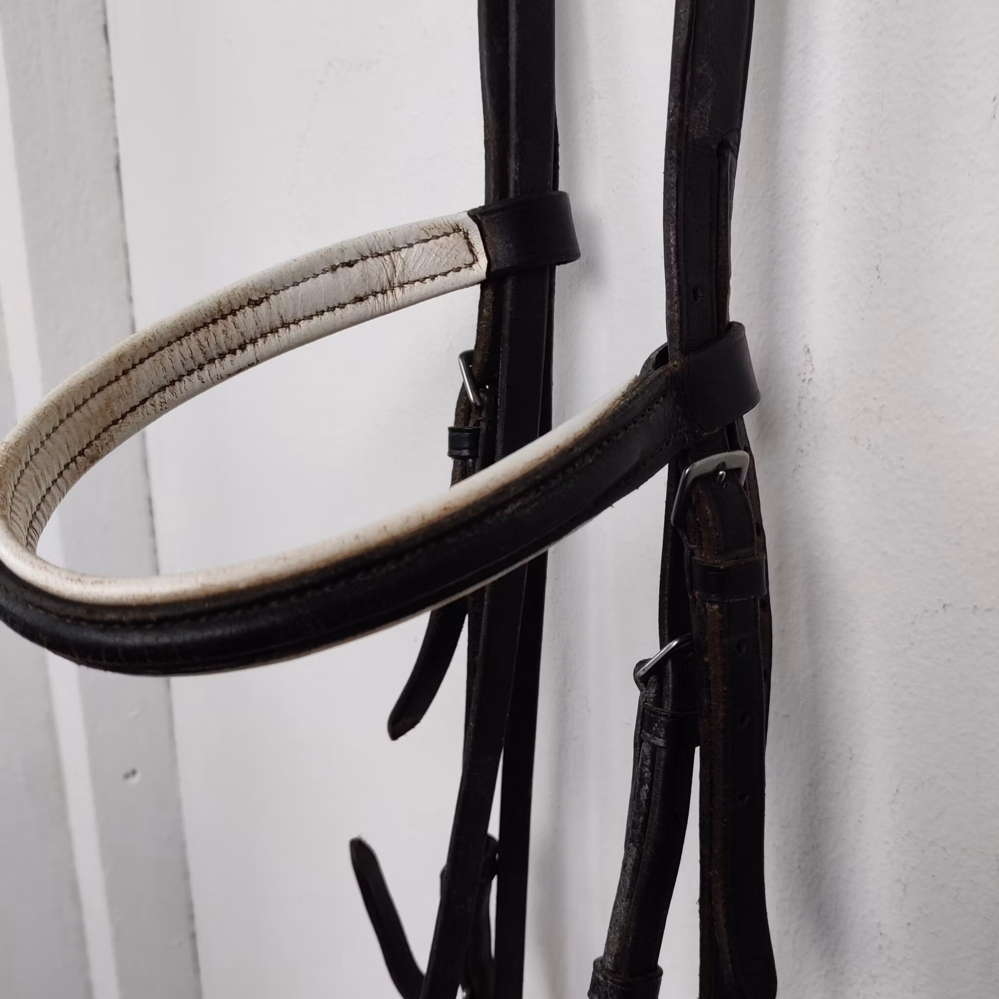 Svart träns med vit fodring FULL