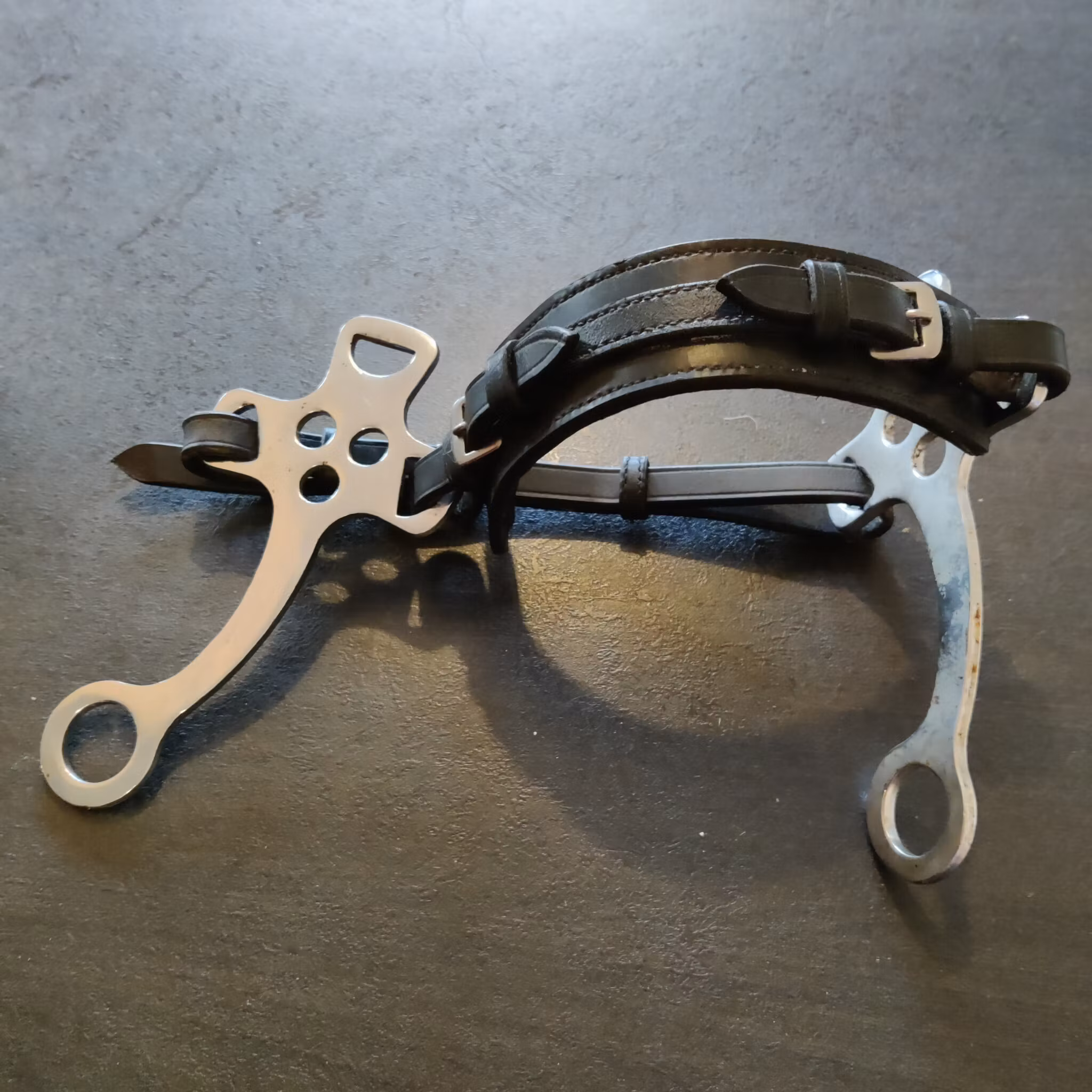 Svart hackamore