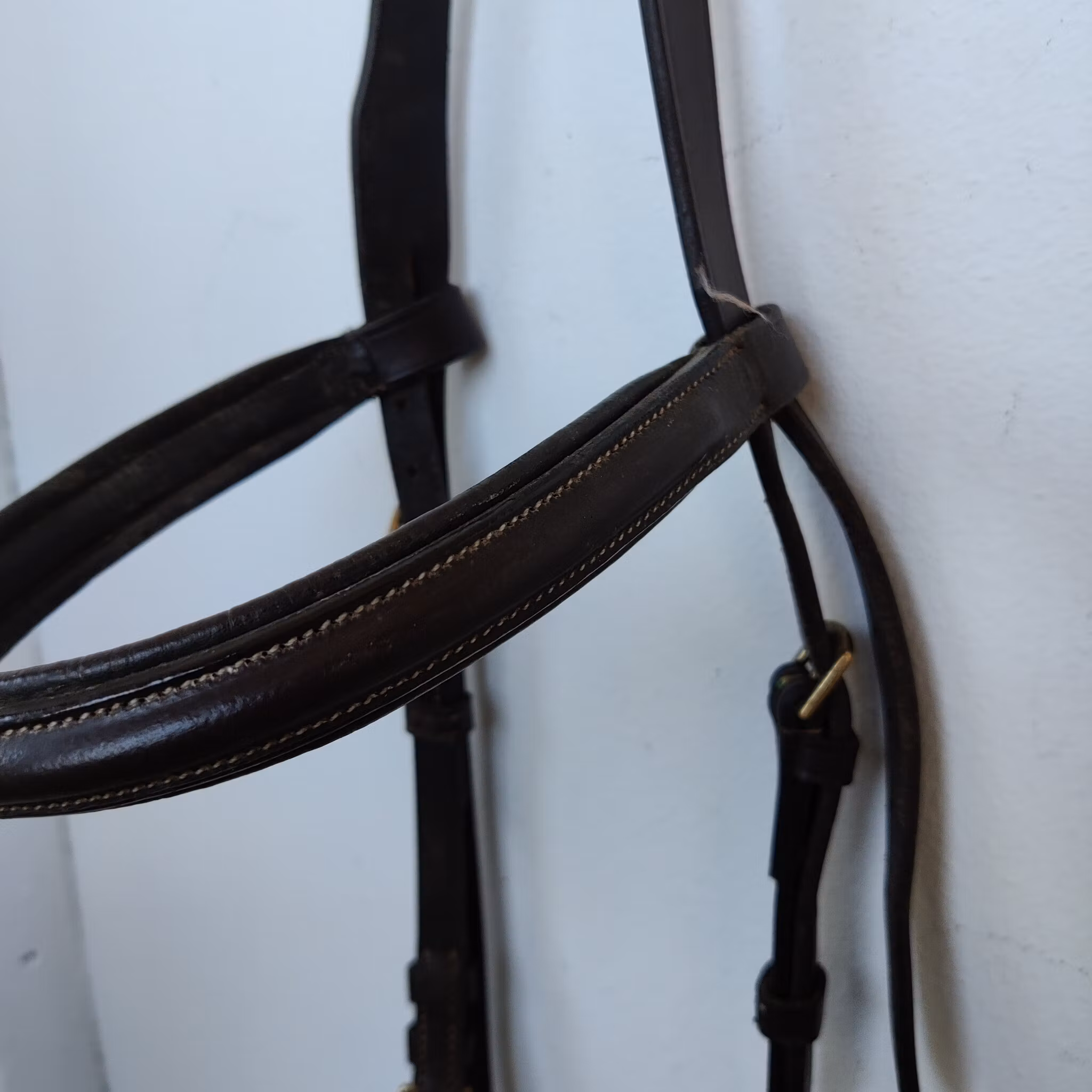 Brunt huvudlag PONNY