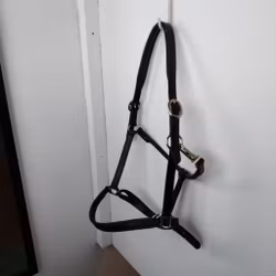 Svart lädergrimma FULL