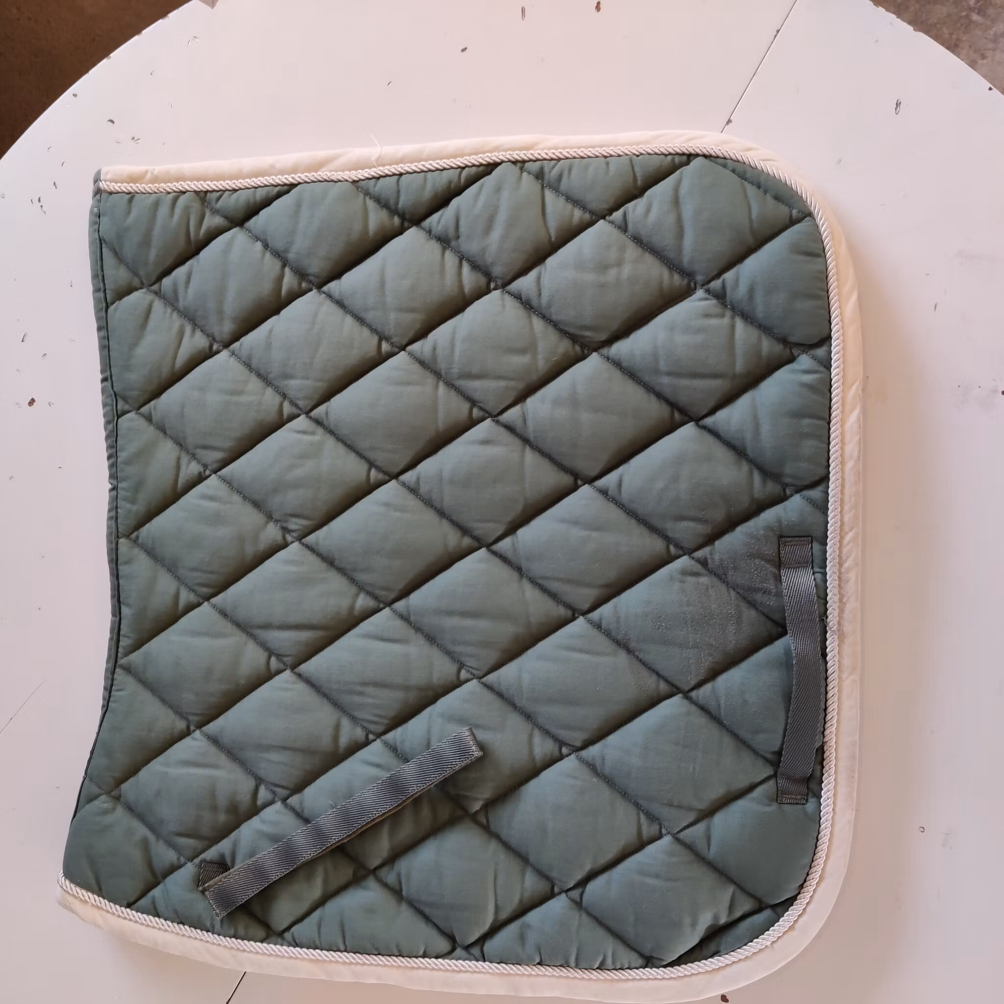 Ljusgrönt dressyrschabrak FULL