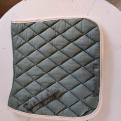 Ljusgrönt dressyrschabrak FULL