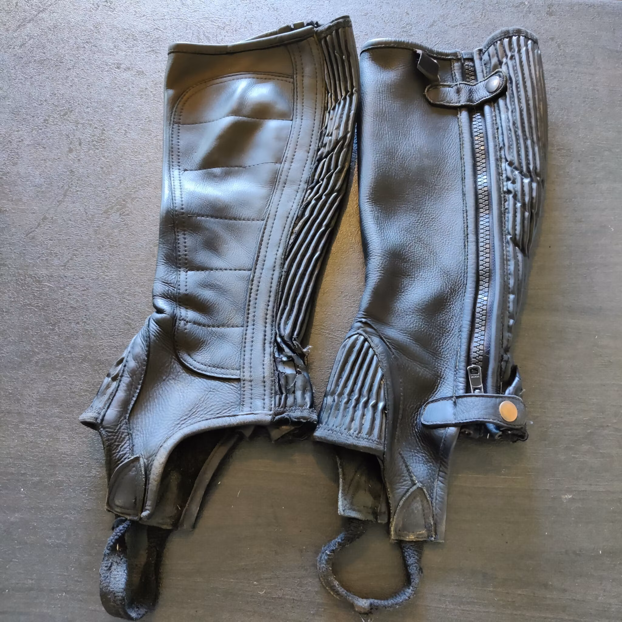 Svarta shortchaps Calvin Horse MEDIUM