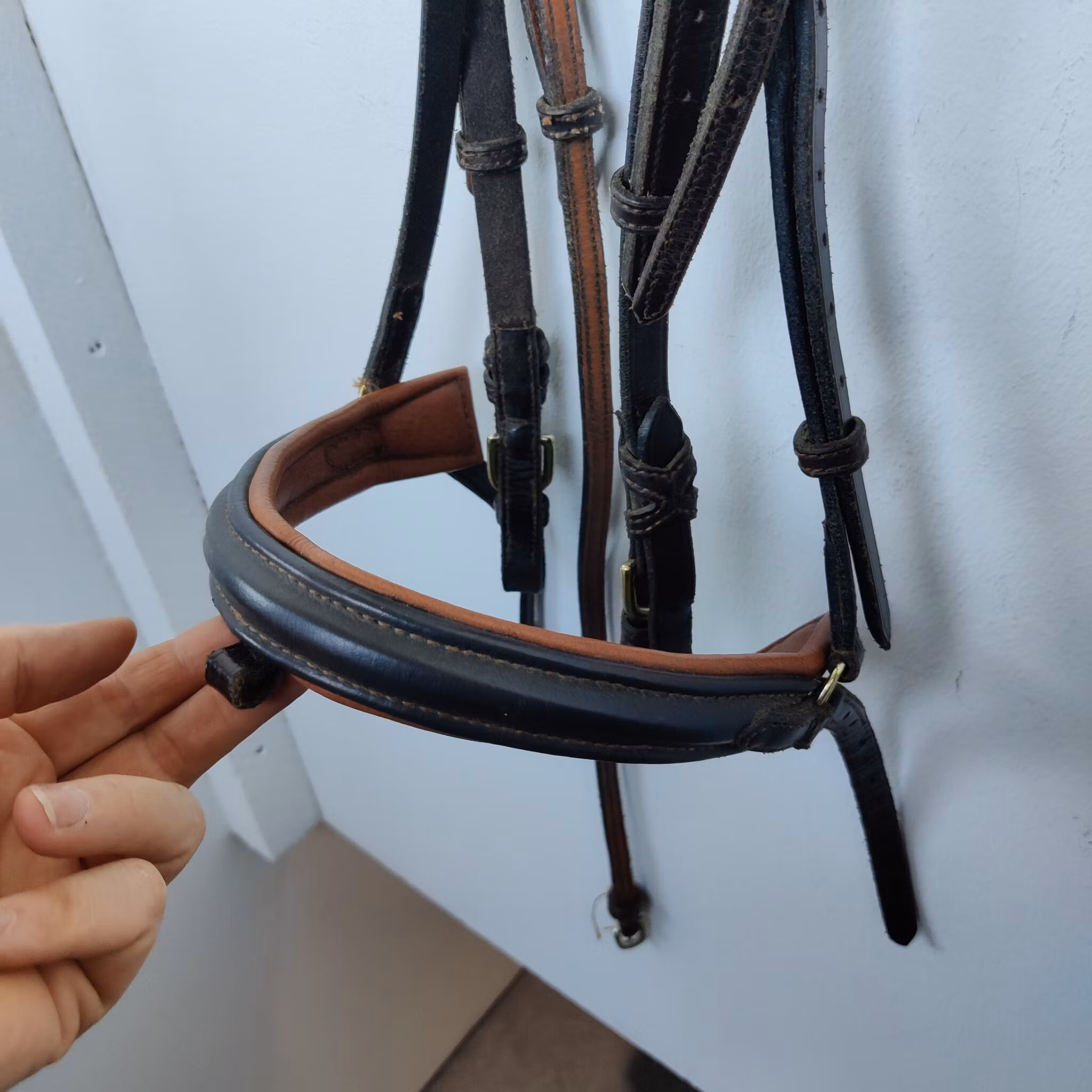 Brunt träns med brun fodring Globus FULL