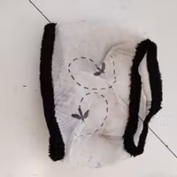 Vit flughuva utan öron