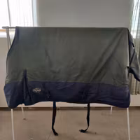 Grönt regntäcke 155 cm ca 100 g Onehorse