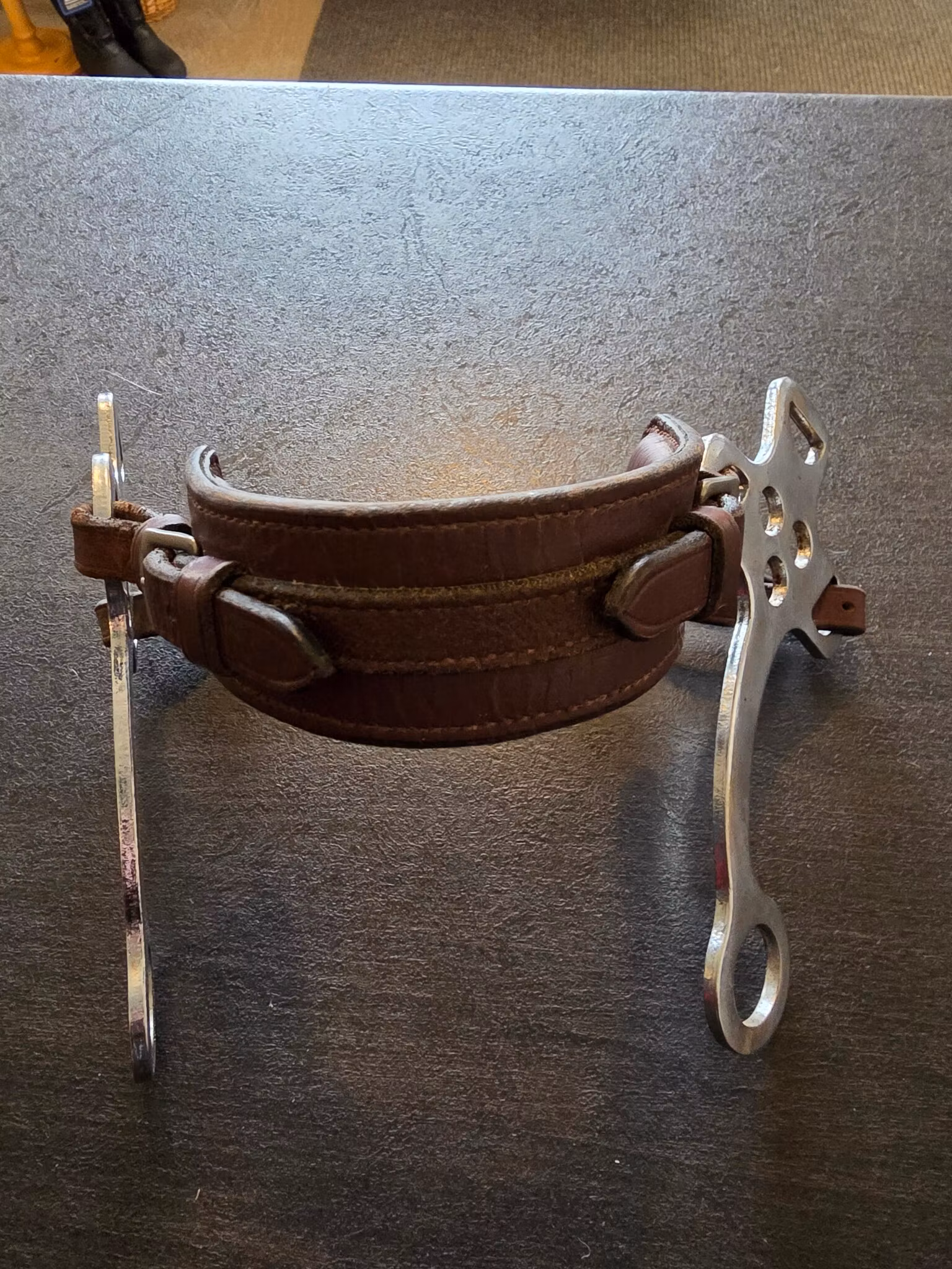 Brunt hackamore