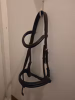 Svart träns COB