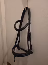 Svart träns COB