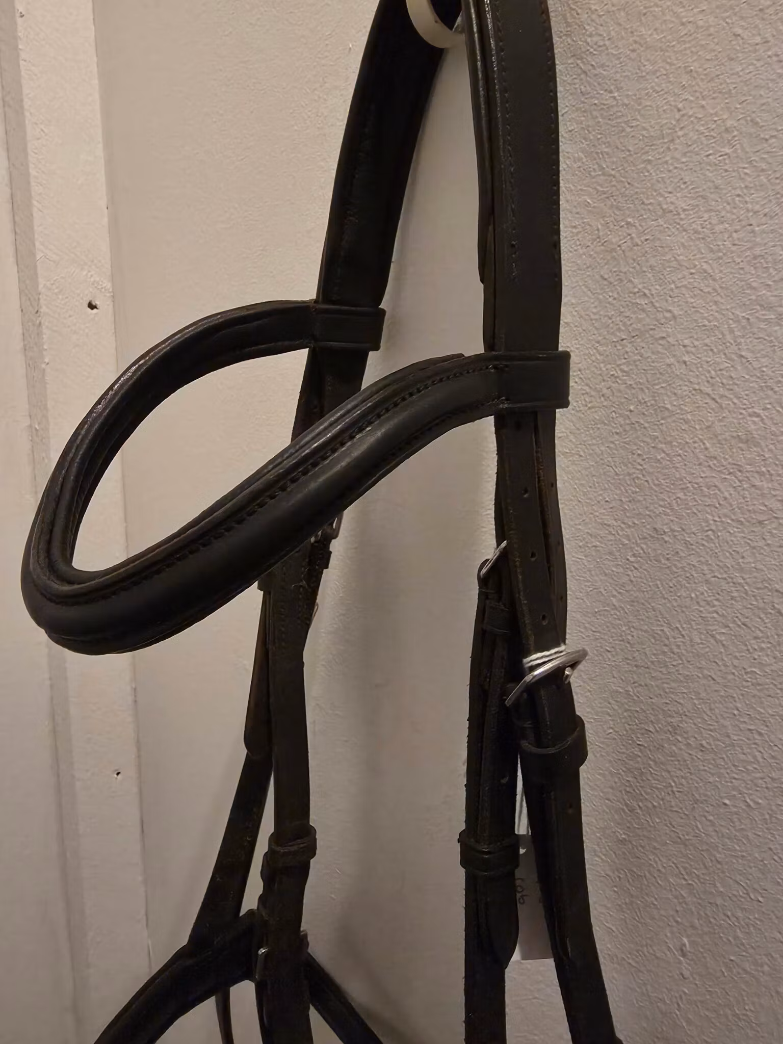 Svart träns COB