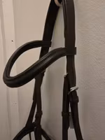 Svart träns COB