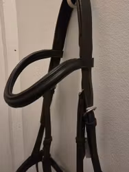 Svart träns COB