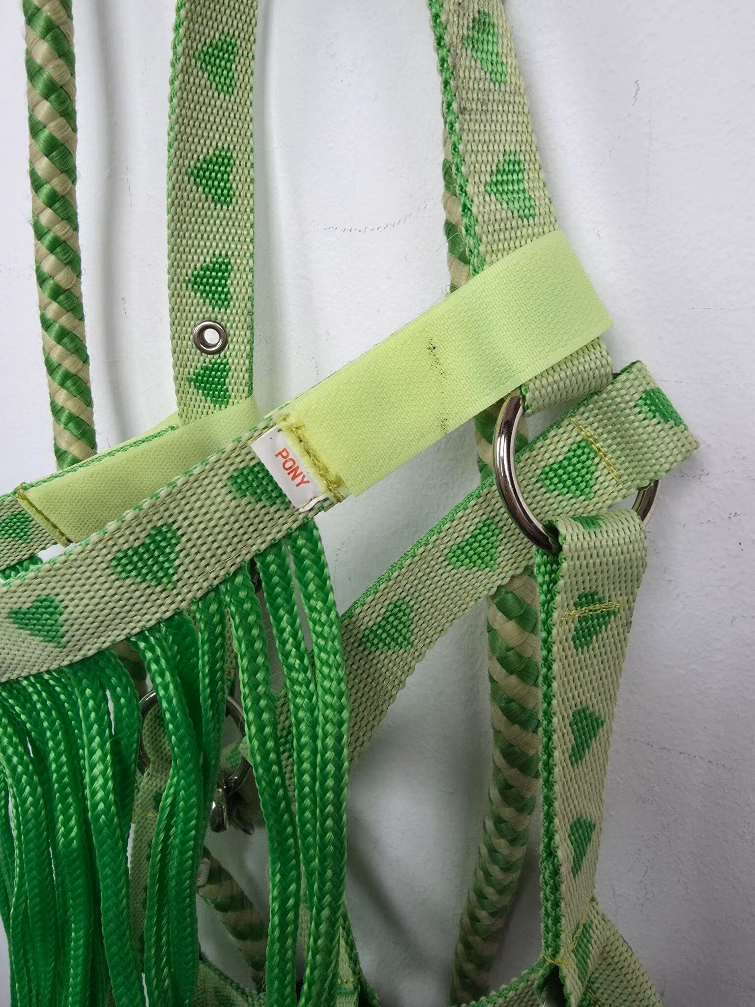Set grön grimma och grimskaft PONNY