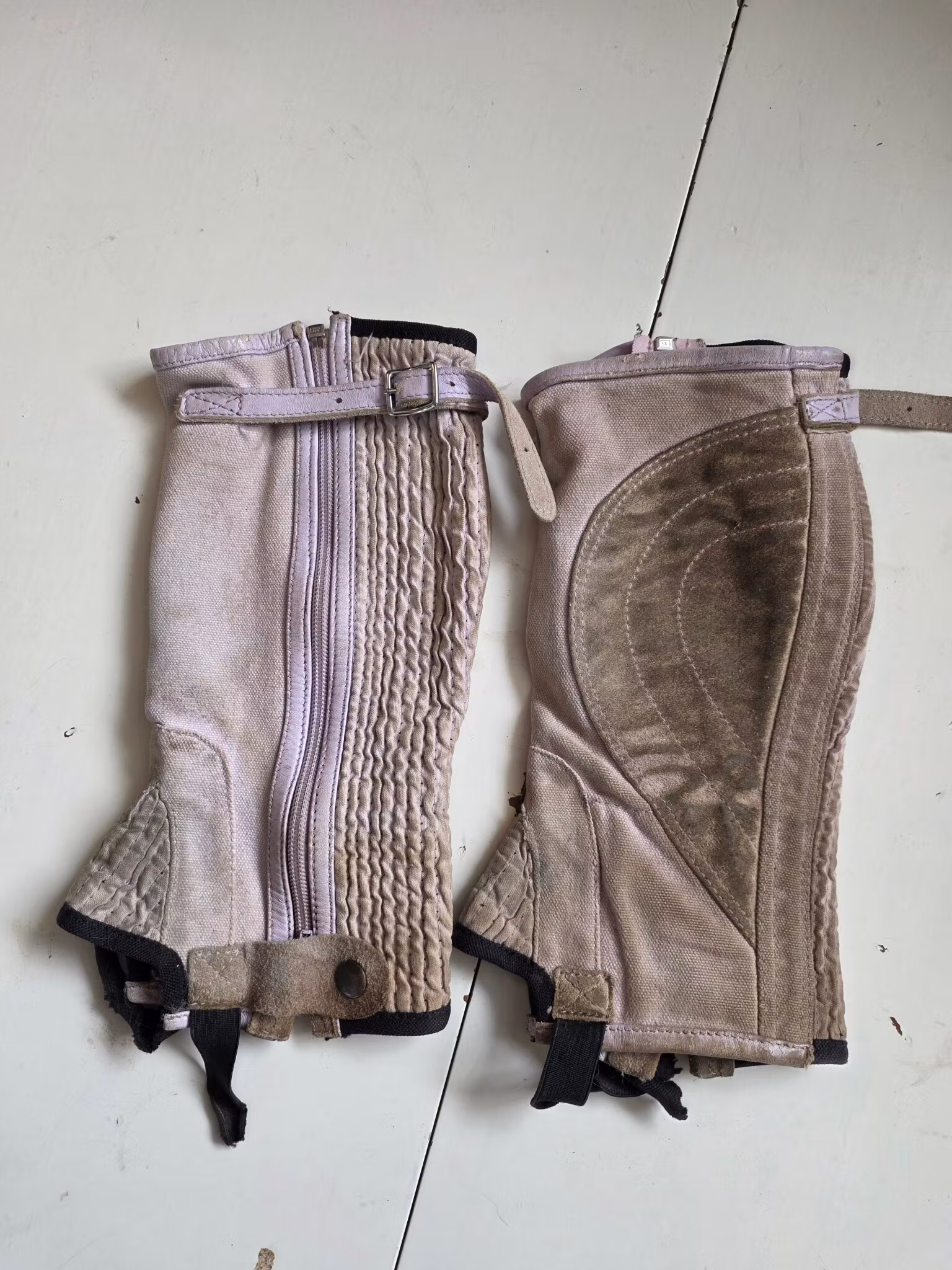 Rosa shortchaps barn medium