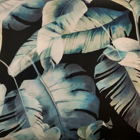 Blue Feather
