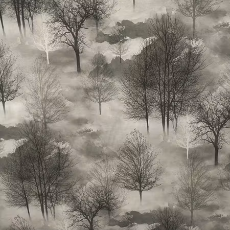 Trees MV