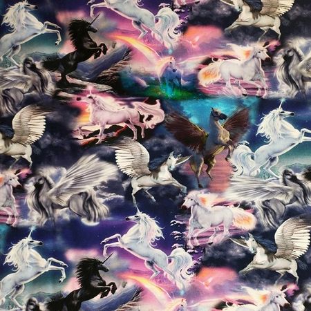 Unicorn dream