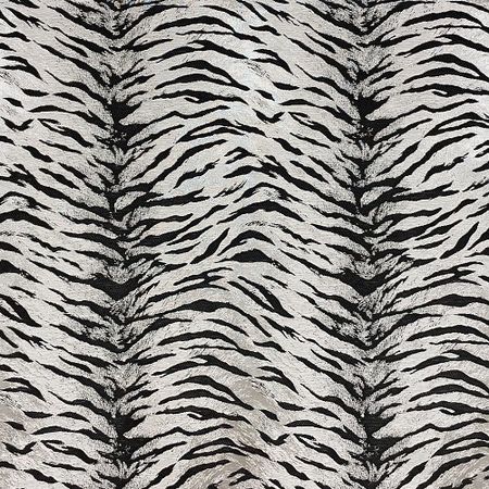 Zebra White