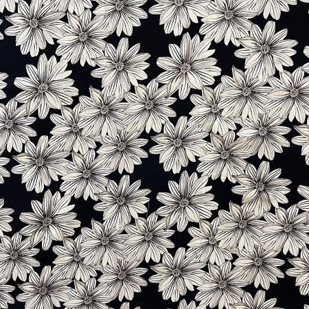 Aster