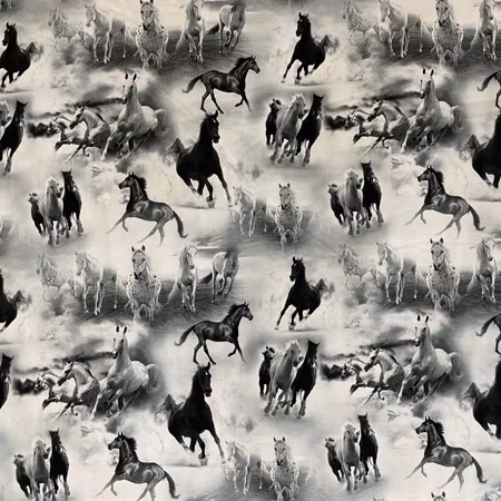 Black horse
