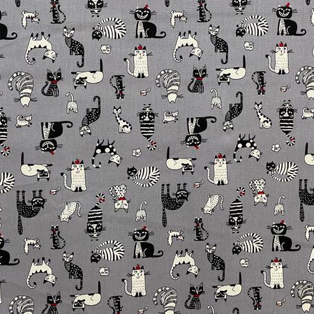 Funny Cats