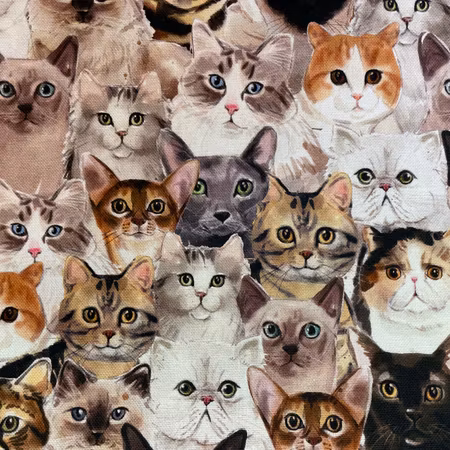Katthav Canvas