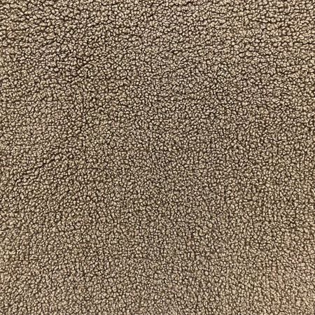 Teddy Beige