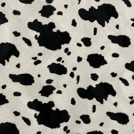 Cow Velbour