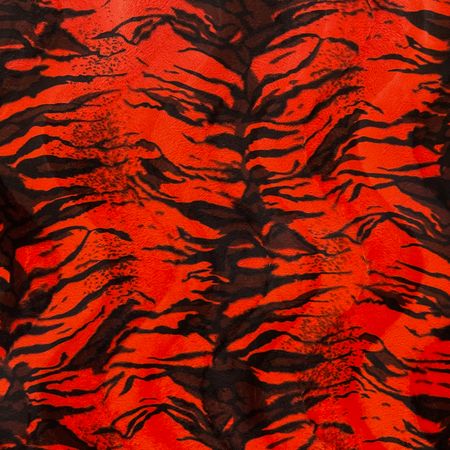 Orange tiger