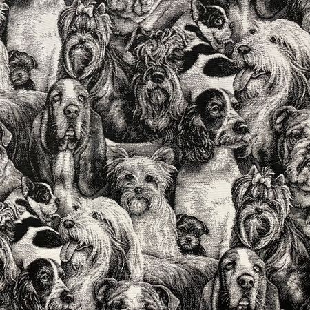 Dogs möbeltyg