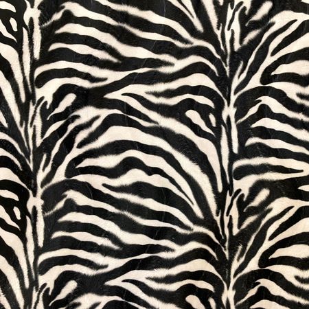 Zebravelbour
