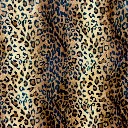 Leopardvelbour