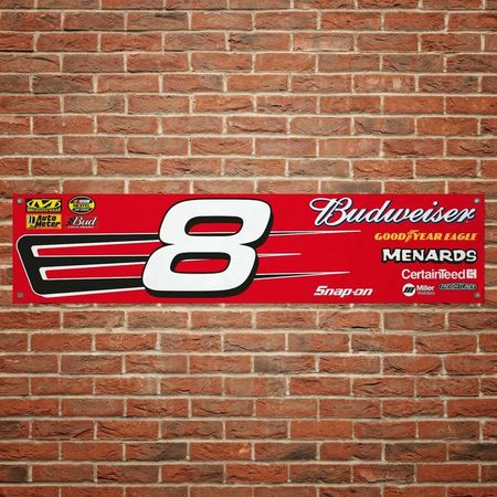 Dale Earnhardt Jr Banderoll