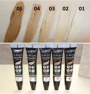 Fluid Concealer