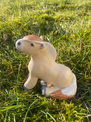 Sittande rödblack knubbis fjording